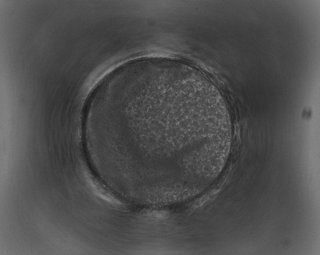 X0000088890247200707061438