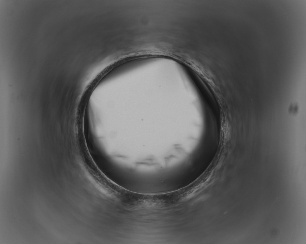 X0000088890248200707061438