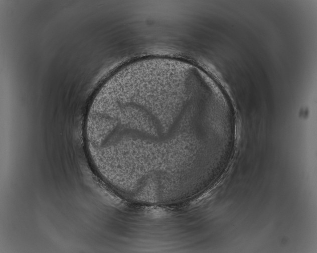 X0000088890249200707061438