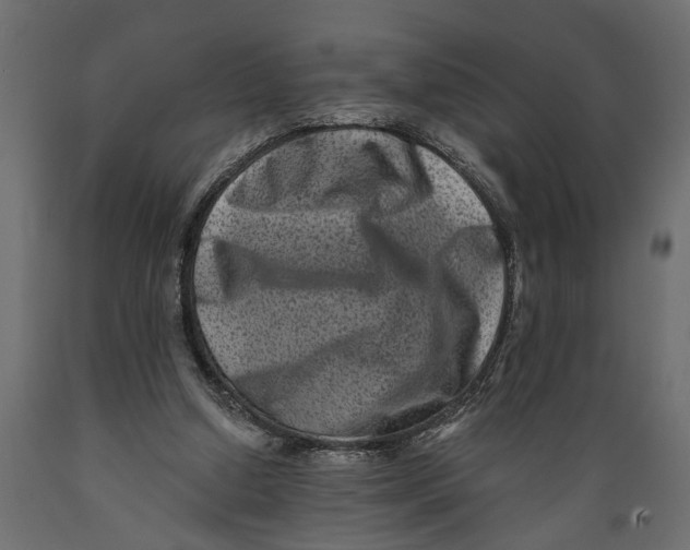 X0000088890250200707061438