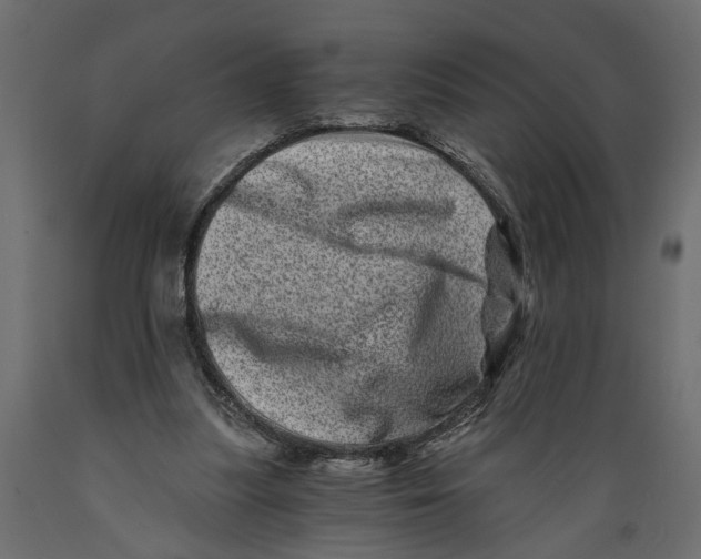 X0000088890251200707061438