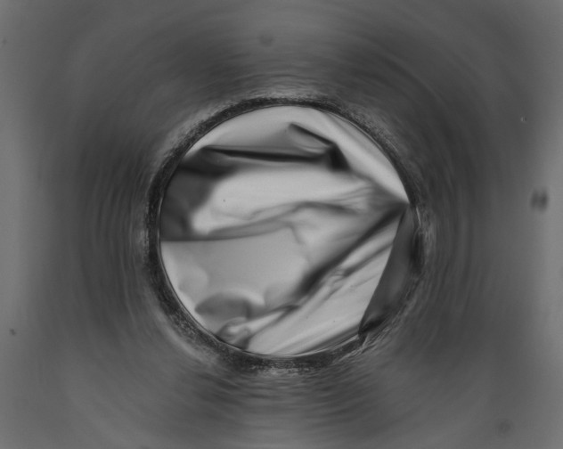 X0000088890252200707061438