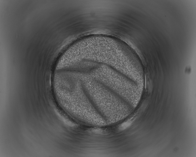 X0000088890253200707061438