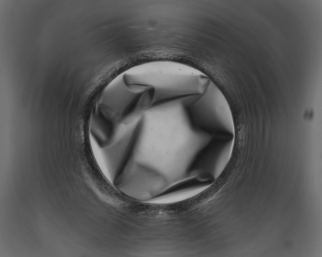 X0000088890254200707061438