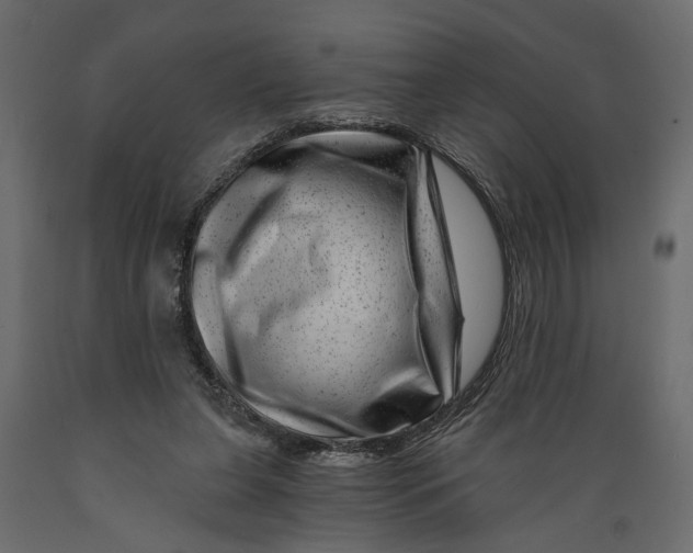 X0000088890255200707061438
