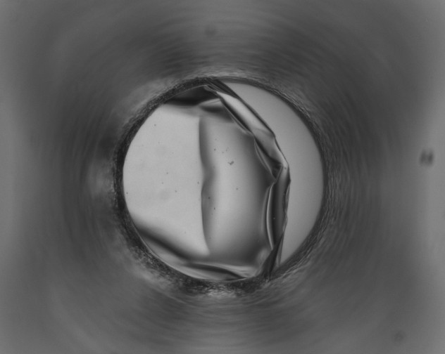 X0000088890256200707061438