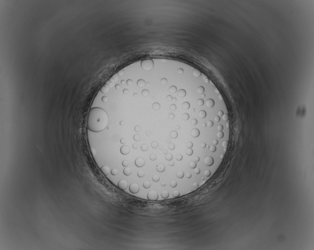 X0000088890257200707061438