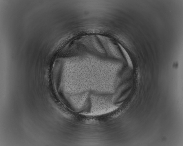 X0000088890258200707061438