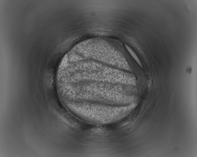X0000088890259200707061438