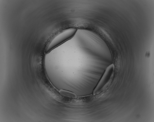 X0000088890260200707061438