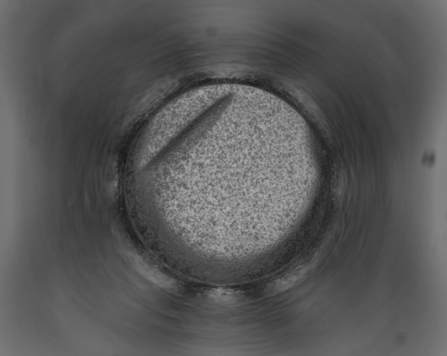 X0000088890261200707061438