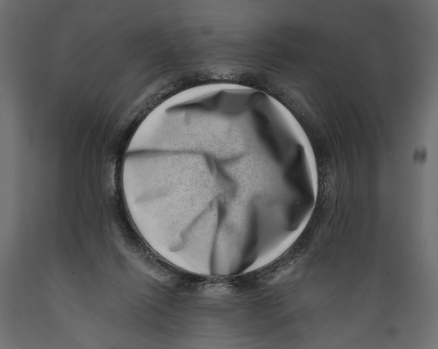 X0000088890262200707061438