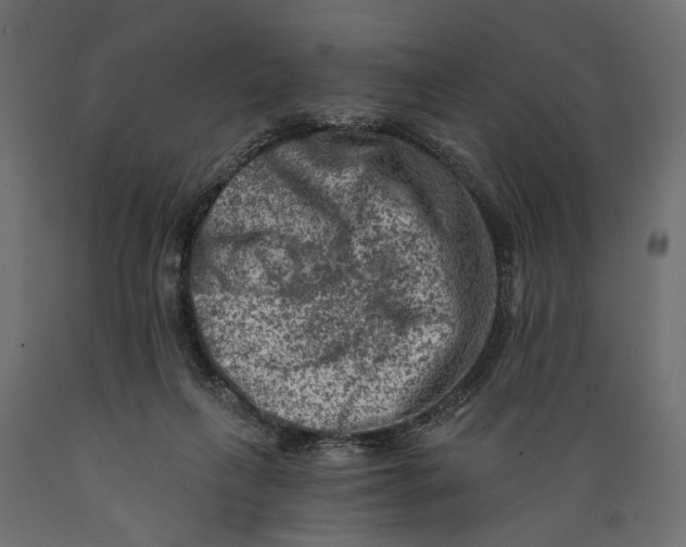 X0000088890263200707061438