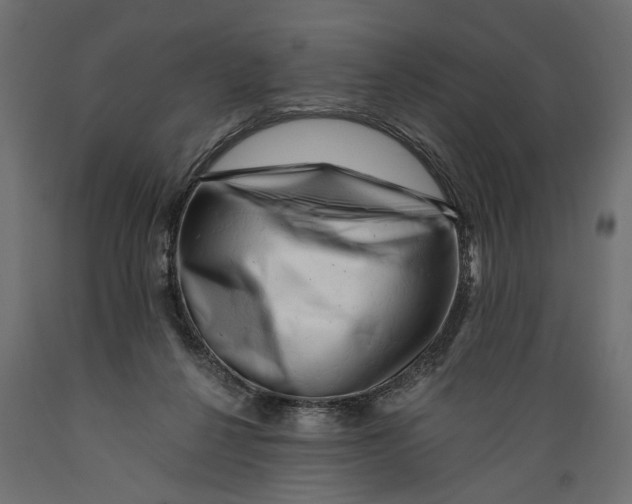 X0000088890264200707061438