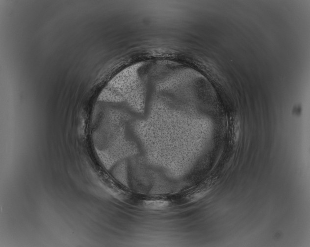 X0000088890266200707061438