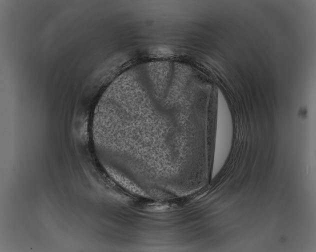 X0000088890267200707061438
