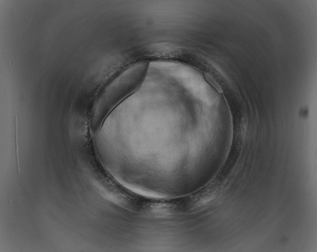 X0000088890268200707061438