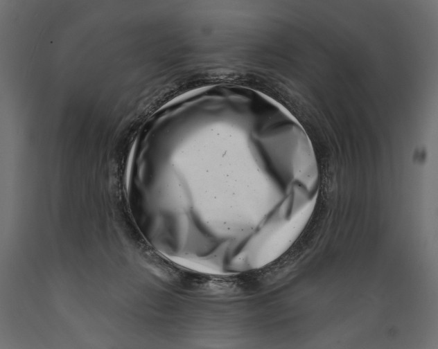 X0000088890270200707061438
