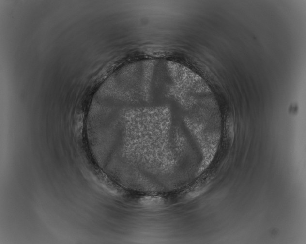 X0000088890271200707061438