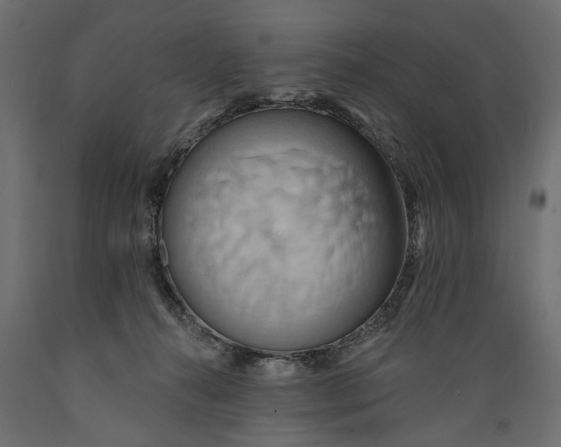 X0000088890272200707061438