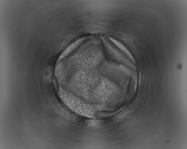 X0000088890273200707061438