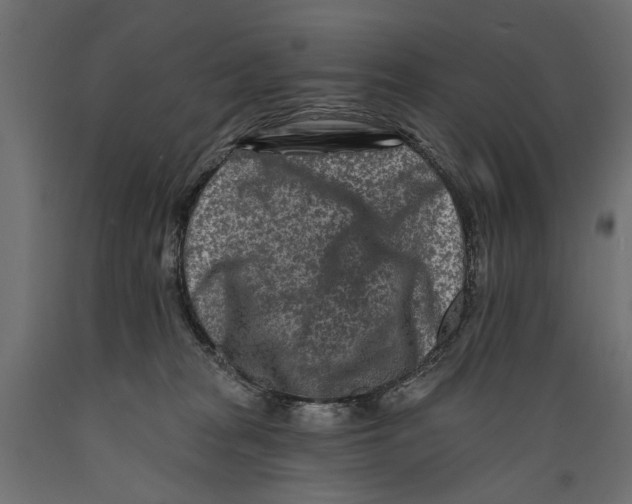 X0000088890277200707061438
