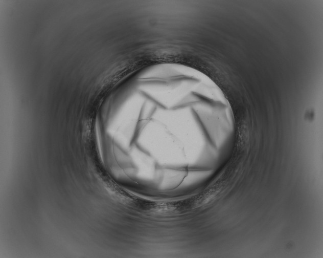 X0000088890278200707061438
