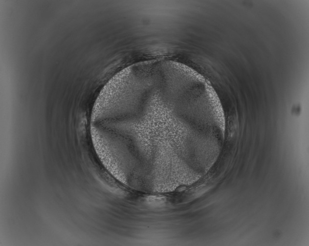 X0000088890279200707061438