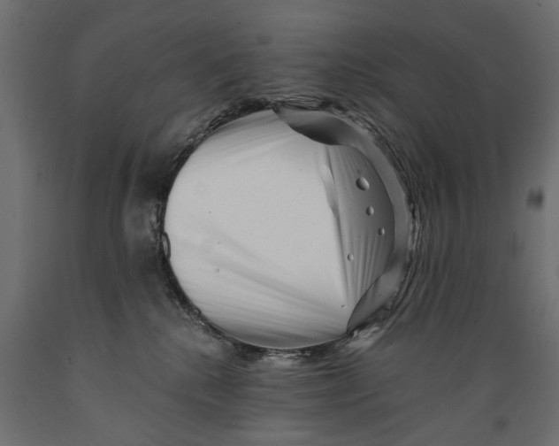 X0000088890280200707061438
