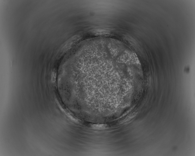 X0000088890281200707061438