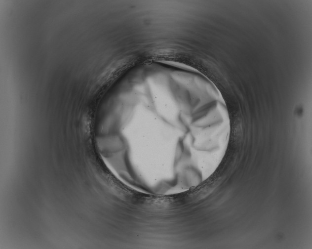 X0000088890282200707061438