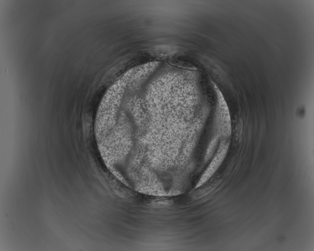 X0000088890283200707061438