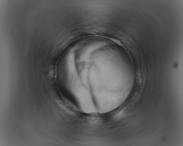 X0000088890284200707061438
