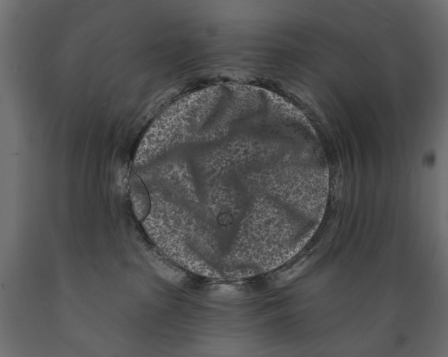X0000088890285200707061439