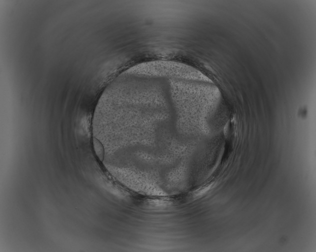 X0000088890286200707061439