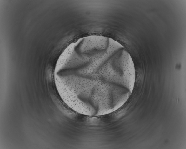 X0000088890287200707061439