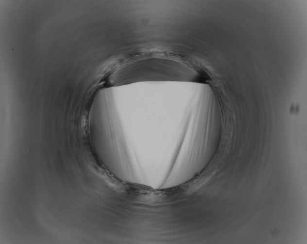 X0000088890288200707061439
