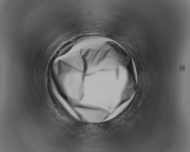 X0000088890290200707061438
