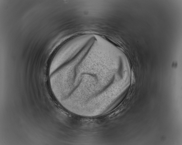 X0000088890291200707061438