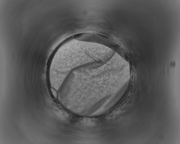 X0000088890292200707061438
