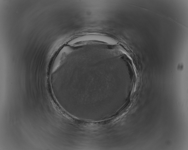X0000088890293200707061438