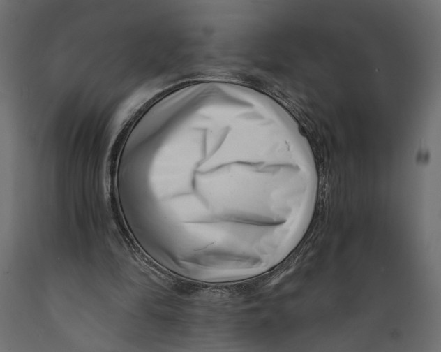 X0000088890294200707061438
