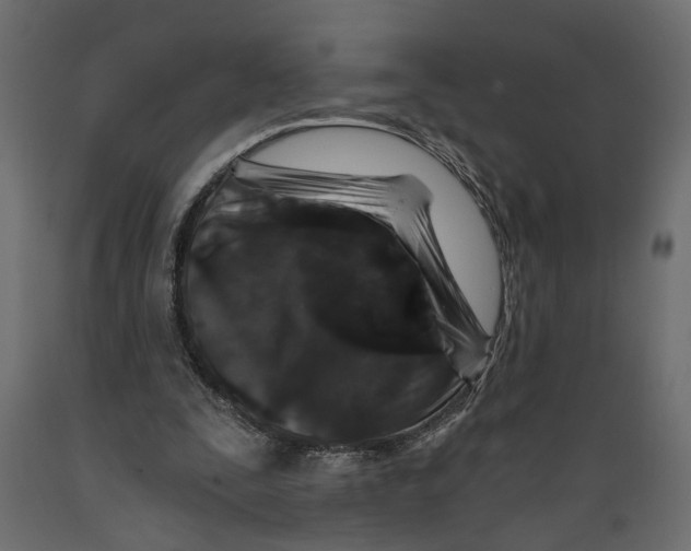 X0000088890295200707061438