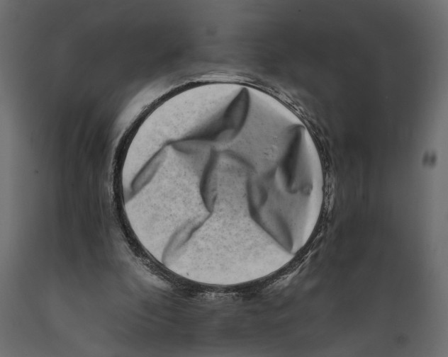 X0000088890296200707061438