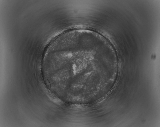 X0000088890297200707061438