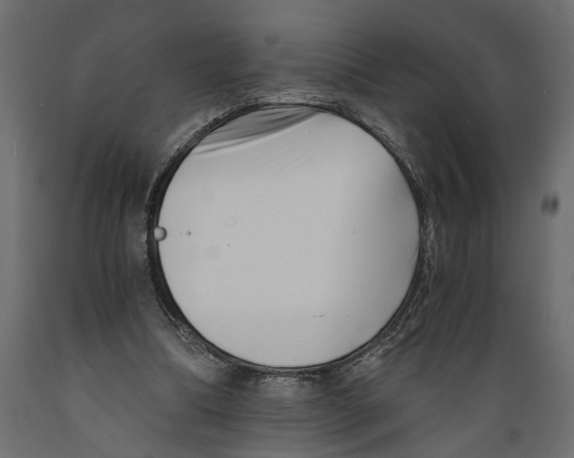 X0000088890298200707061438