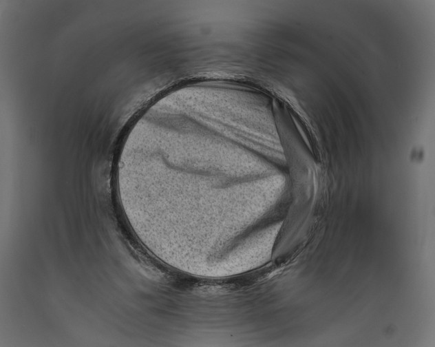 X0000088890299200707061438