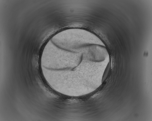 X0000088890300200707061438