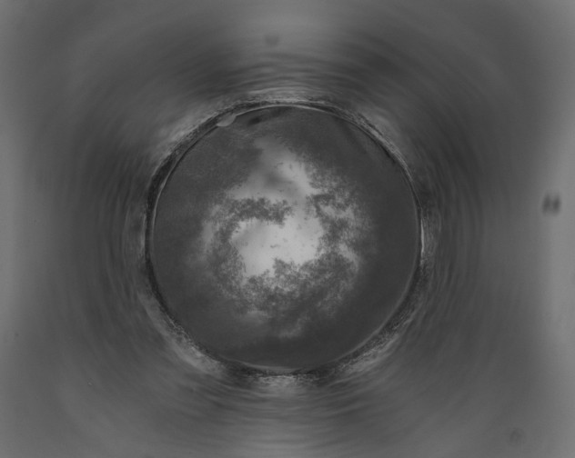 X0000088890301200707061438