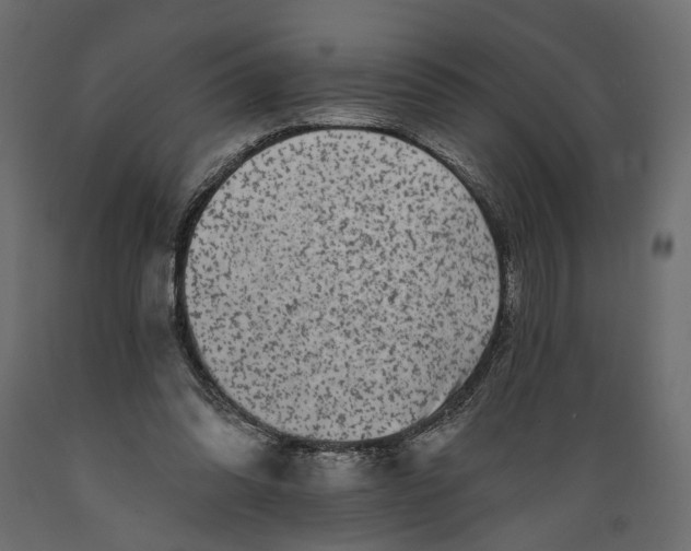 X0000088890302200707061438